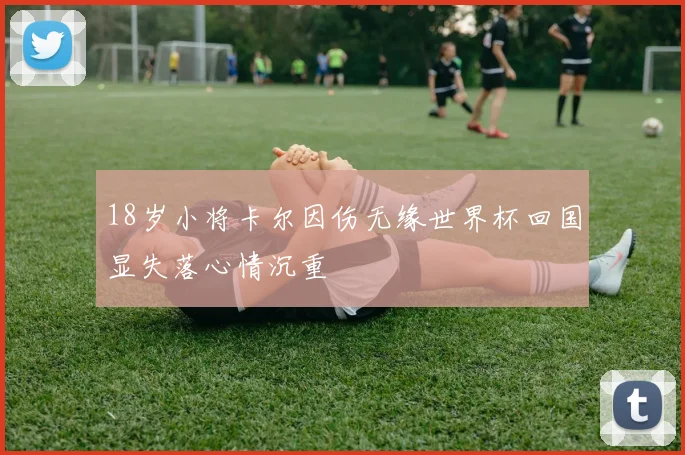 18岁小将卡尔因伤无缘世界杯回国显失落心情沉重